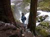 sol-duc-falls-jen
