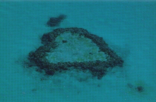 Heart Reef