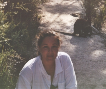 Wallaby