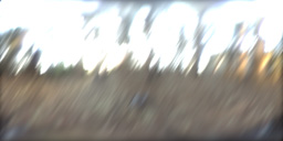 RNL motion blur