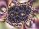 Fractal