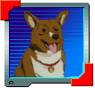 Ein