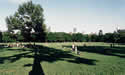 meadows