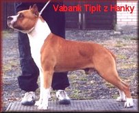 Vabank.jpg (12131 bytes)