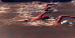 natacion aguas abiertas