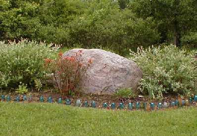 Variegated willow and Euphorbia 'Fern Cottage' planted around a pink boulder