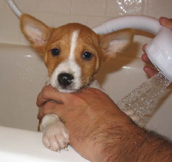 BJ gets his first bath