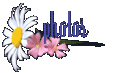 flower21.gif - 2545 Bytes
