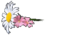 flower25.gif - 2071 Bytes