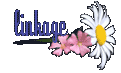 flower8.gif - 2624 Bytes