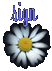 flower9.gif - 1725 Bytes