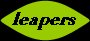 leap.jpg - 3795 Bytes