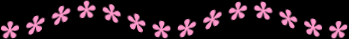 socflowerbar.gif - 4380 Bytes