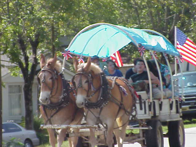 heber18.jpg
