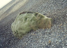 extra-terrestre?
