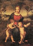 Madonna del Cardellino