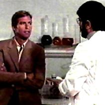 The Cat o' Nine Tails