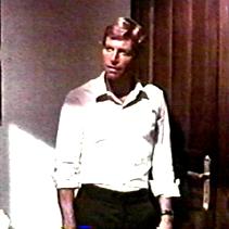 The Cat o' Nine Tails