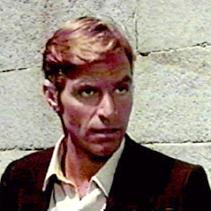 The Cat o' Nine Tails