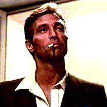 The Cat o' Nine Tails