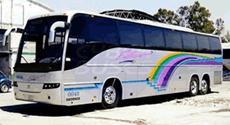 Descripci&oacute;n: Descripci&oacute;n: Descripci&oacute;n: http://www.oaxaca-mio.com/puertoescondido/estrella_blanca_bus.gif