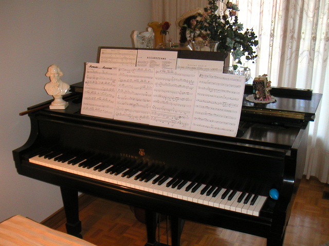Franco Vani's Grand Piano