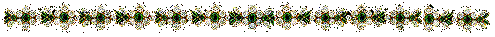 flores.gif (21937 bytes)