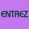 entrez