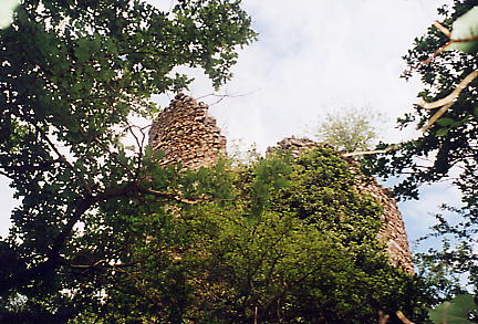 the bear castle