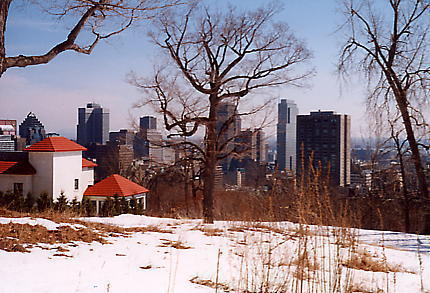 Montr�al vu du Mont-Royal