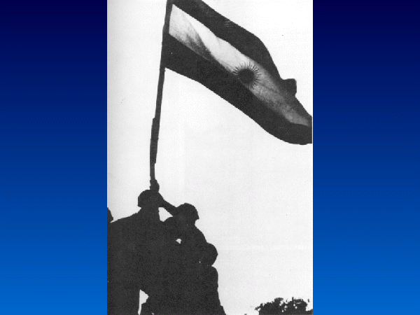 Slide 24
