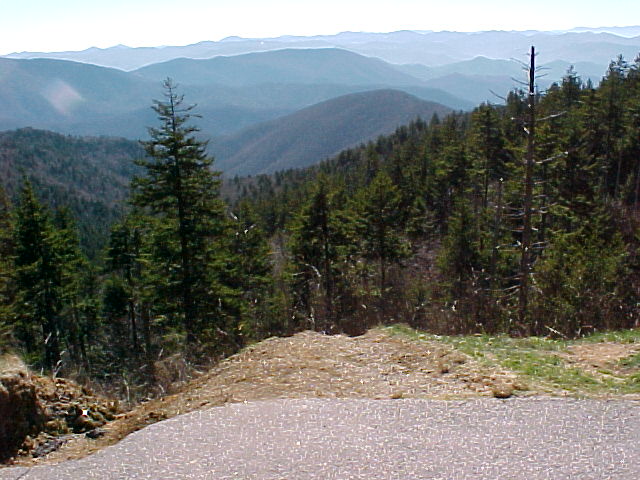 Pkwy View