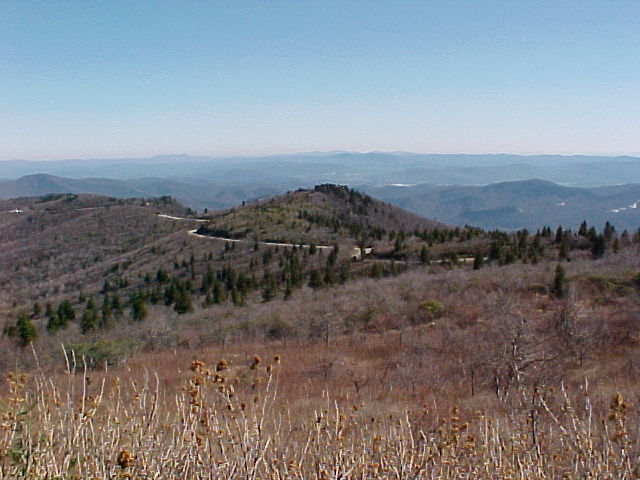 Pkwy View