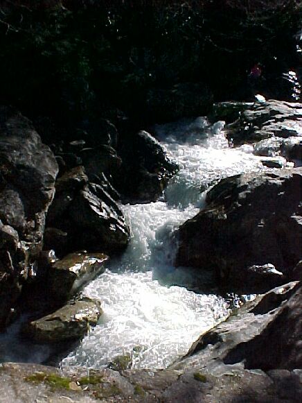 Along NC 215