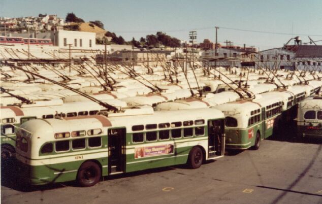 SF Trolleybuses