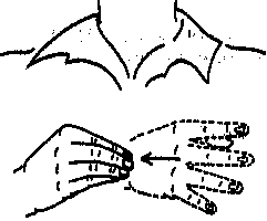 AND - Place the right hand in front of you, fingers spread apart and pointing left (palm facing you); draw the hand to the right, closing the tips.   Origin:  'And' indicates something additional; the hand s preparing for the 'add' sign.