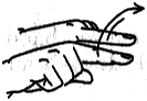 Place the index fingers side by side several inches apart, palms down, and move them over to the left in this position.  Origin:  Similar to the sign for 'SAME'.