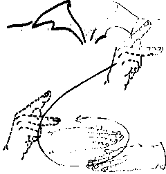 KINGDOM - Sign 'KING' and then make a counterclockwise circle with the right open hand over the left open hand, both palms down.  Origin:  A combination of the sign for 'King' and 'over' showing his authority over the land.