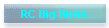 RC Big Birds