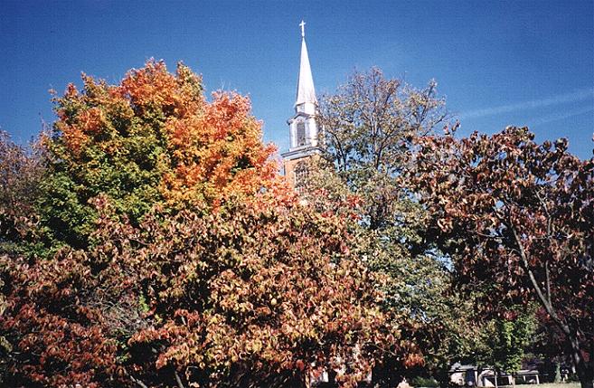 An inspiring view of the church steeple above autumn leaves.