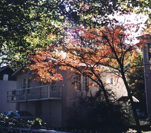 Just off Cedar Street, a cute apartment on Pine Street.