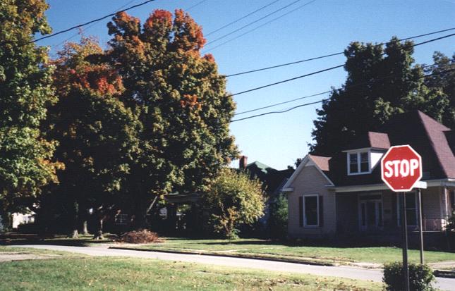 Across the street, we see treetops beginning to display their autumn colors.