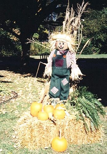 This is the cheerful little scarecrow on the front lawn.