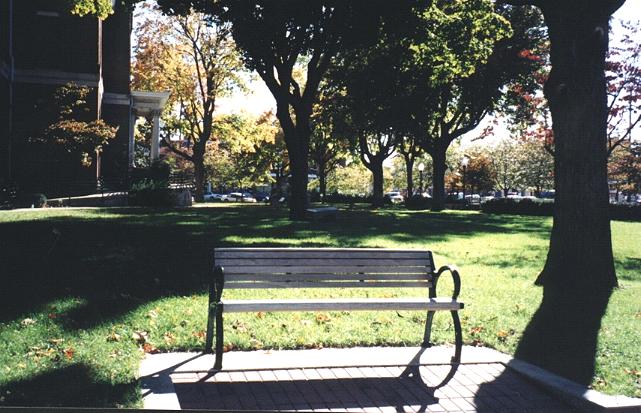 Park benches like these have replaced those that once encircled the courthouse lawn.