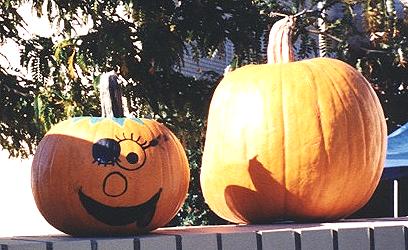Yoo hoo!&nbsp; Aren't we cute?&nbsp; Come look for the Pumpkin Patch!