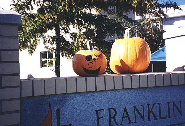 Is this little pumpkin a pirate, a flirt, or both?