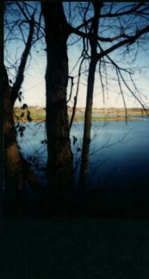 overlooking Drake's Creek