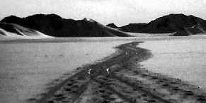 Trails in soft snow snake to the rear.