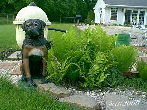 plantsdoggie.jpg (20221 bytes)