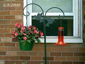 plantshbfeeder.jpg (15653 bytes)